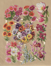 DDR Stammbuchbilder Pflanzen