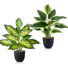 Kunstpflanzen Set 2 Stück