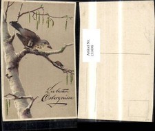 151498,Ostern Birkenbaum m