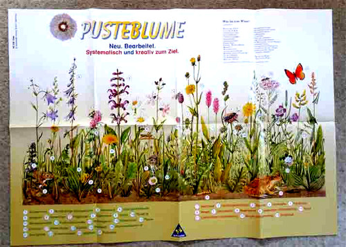 Wiesenblumen großes poster - wiesenblumen,