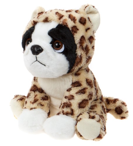 Französische bulldogge - französische,