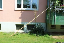 Stabile Katzenleiter