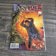 Angel after the - the, fall
