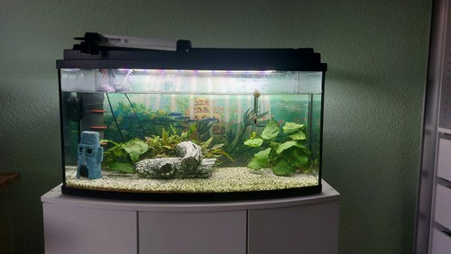 Aquarium 120 liter - 120, inklusive