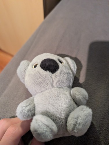 Koala kuscheltier - koala,