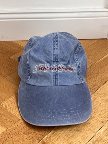 Vintage twipsy expo 2000 - 2000, cap