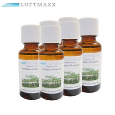 6er Set Eukalyptus naturreine