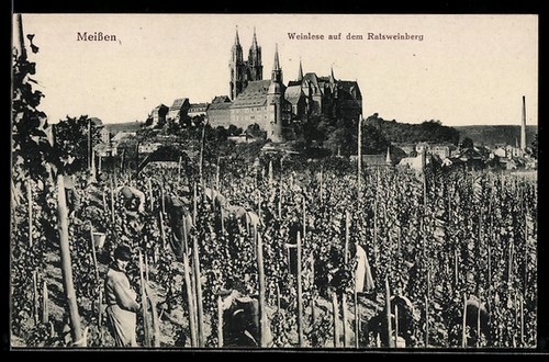 Meißen weinlese auf - weinlese, dem