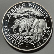 Silbermünze Somalia 2013 Elefant Elephant 1 Oz Silber 999  BU African Wildlife