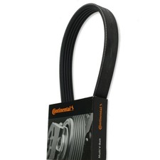 CONTITECH  -  Keilrippenriemen