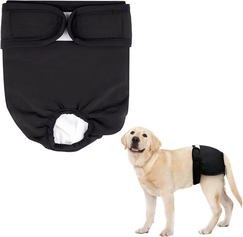 Hundewindeln für hündinnen - hundewindeln,