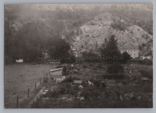 Erfurt schrebergarten - -,