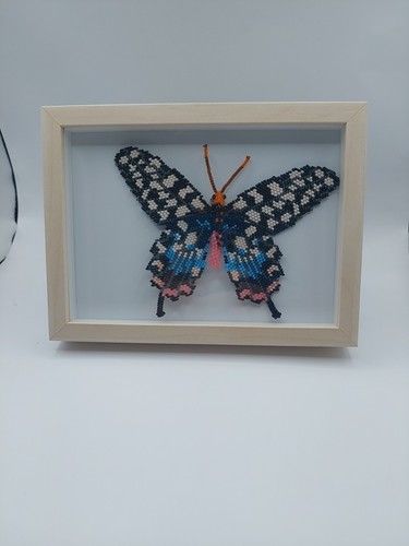 Schmetterling gerahmt rahmen - schmetterling, ,