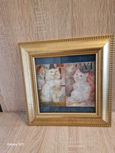 Süßes katzenbild goldenen - katzenbild,