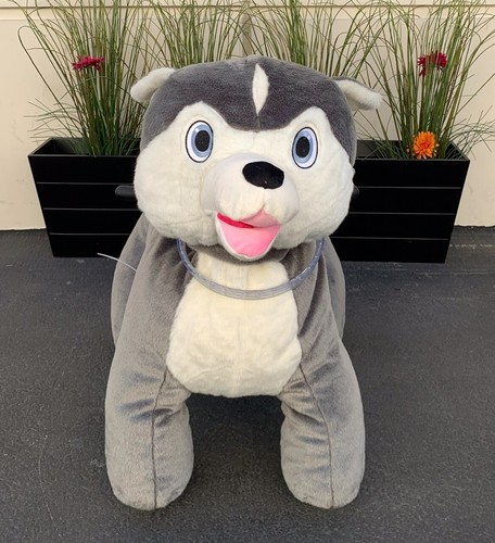 Bigi basic gray - gray, husky