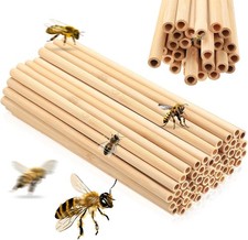 Insektenhotel Bambusröhrchen