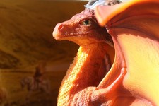 Schleich 72013 Faraun