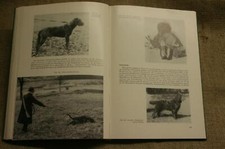 altes Fachbuch Jäger Jagd