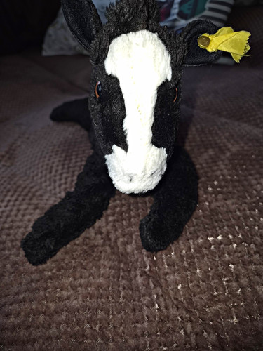 Steiff plüschtier pferd - steiff,