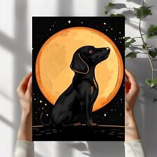Dackel bei Vollmond Poster