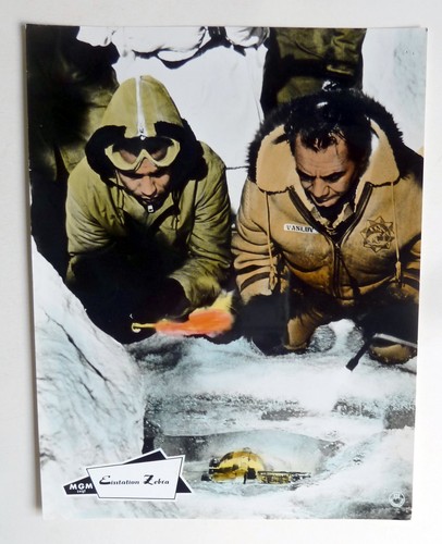 Eisstation zebra rock hudson - eisstation,
