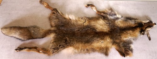 Schönes fuchsfell fox fur - schönes,