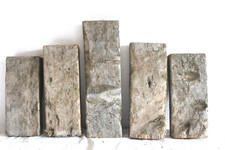 Schwemmholz Treibholz  5