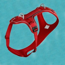 ⭐ CURLI Belka Comfort