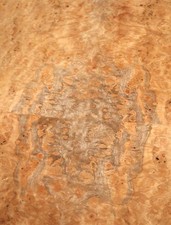 Korallen Wurzelholz Furnier Maser 51x32-38cm 2 Blätter