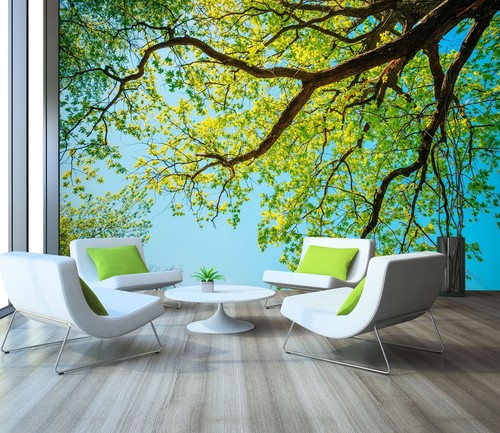 Groß baum m6798 tapete - groß,