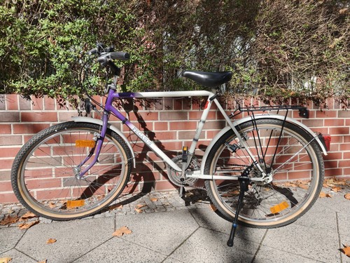 Pegasus zoll trekkingrad - pegasus, 28