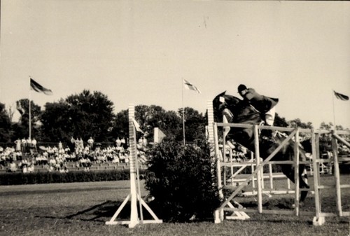 Foto reitturnier - foto,
