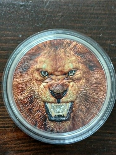 Silber lion of africa - of, africa"