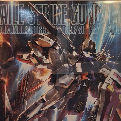 Bandai master grade 100 aile - master, 1:100