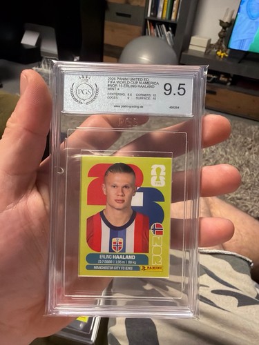 Erling haaland panini - haaland,