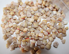 100 Stück Willi Geller Seitenzähne Kunststoffzähne MOLAREN (ungeschliffen)