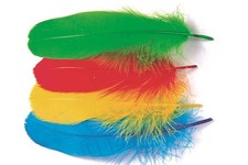 Fliegenbinden/Basteln Federn