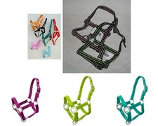 Fohlenhalfter für Mini Shetty und Shetty extra klein  Viele Farben DHL- Versand