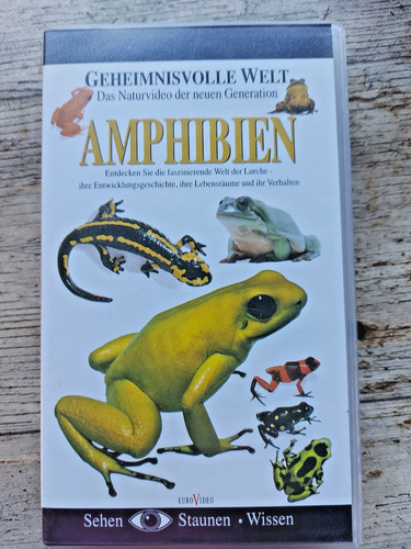 Geheimnisvolle welt das - geheimnisvolle,
