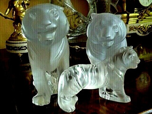 3tlg family tigers bengal - 3tlg,