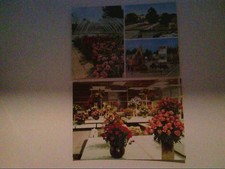 Erfurt. Internationale