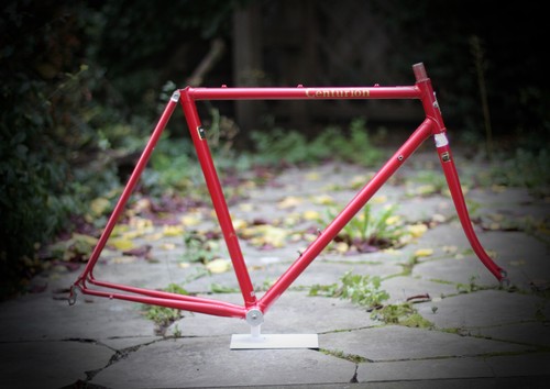 Centurion professional tange - professional,