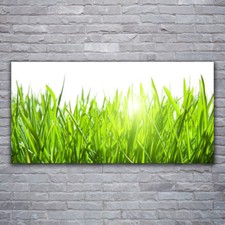 Leinwand-Bilder Wandbild