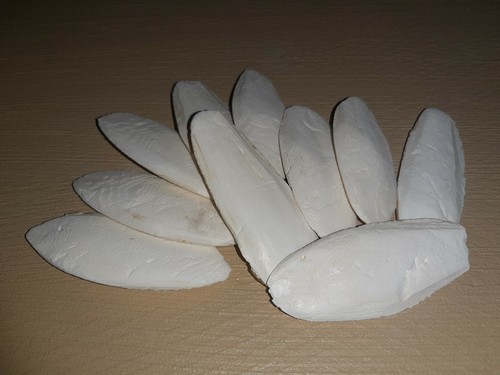 Sepiaschalen 12cm - -, /