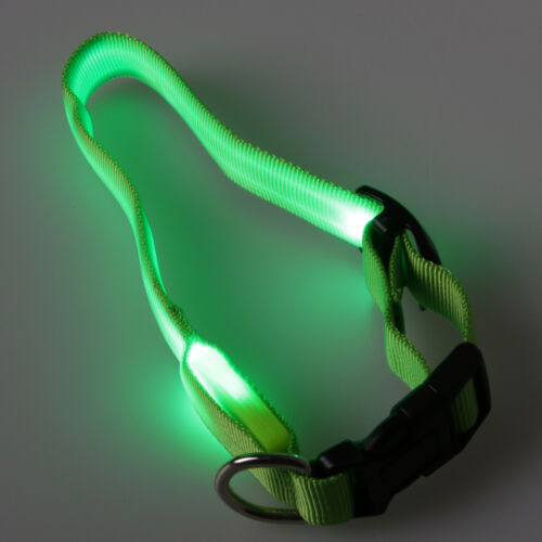 Led leuchthalsband hunde - led, m
