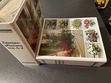 Zimmerpflanzen von A-Z "Buch"