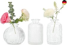 Vasen Klein Glas EylKoi -