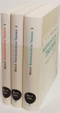 Soziologische Theorie (3