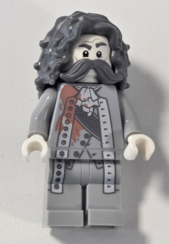 Lego harry potter hogsmeade - harry,