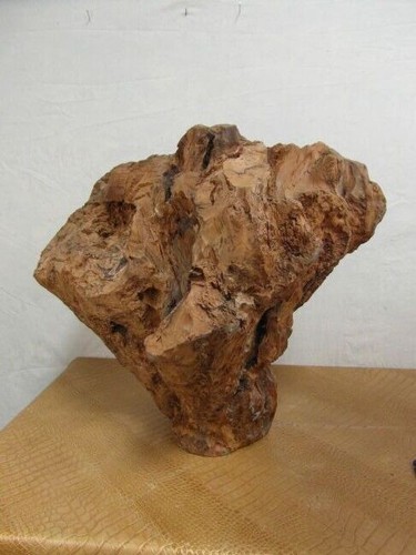 Skulptur rohling thuja - skulptur,